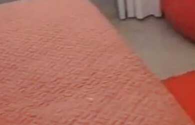 Imagem 13: Casa. 1.000m² de Área, 1 Banheiroe2 Dormitórios