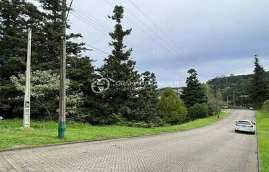 Imagem 4: TERRENO COM VISTA PERENE PARA O VALE