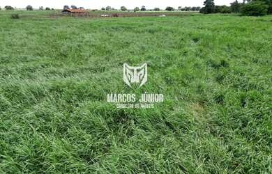 Imagem 11: FAZENDA FORMADA NA REGIÃO DE JANAUBA E CAPITÃO ENEIAS MG PARA PECUARIA...