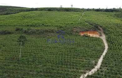 Imagem 2: Fazenda, Centro, Cardeal da Silva - R$ 5 mi, Cod 68601