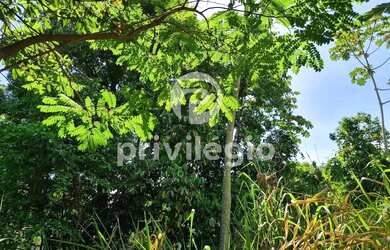 Imagem 7: Terreno à venda, Freguesia Jacarepaguá - RIO DE JANEIRO/RJ