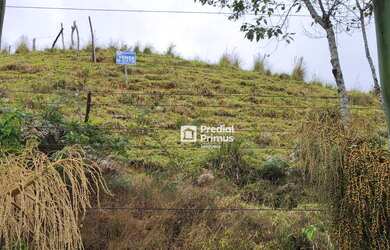 Imagem 4: Terreno à venda, 2780 m² por R$ 350.000,00 - Lumiar - Nova Friburgo/RJ