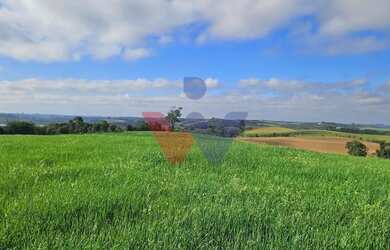 Imagem 6: Chácara 20.000m em Araucária Frente Asfalto, Vista Linda e Zona de Expansão...