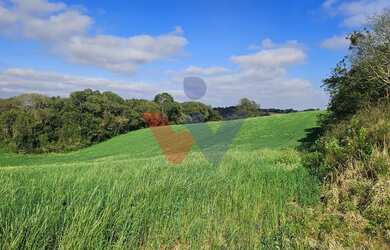 Imagem 2: Chácara 20.000m em Araucária Frente Asfalto, Vista Linda e Zona de Expansão...