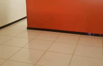 Imagem 8: Aluguel de casa no Prata- MG