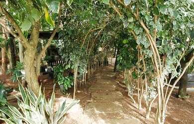 Imagem 15: Chácara em Luzimangues. Piscina, Churrasqueira, Vista para o lagoe4.000m²...