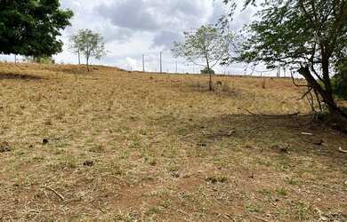 Imagem 4: Venda Terreno. 10.000m² de Área