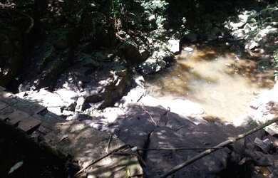 Imagem 4: Fazenda/Sítio/Chácara para venda possui 38000 metros quadrados em PORTO...