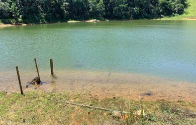 Imagem 2: Terreno com ótimo solo. 600m² de Área