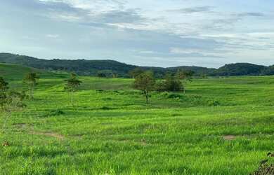 Imagem 13: Fazenda em guaianesia g.o 300 alqueirão 70.000.000.00 lean