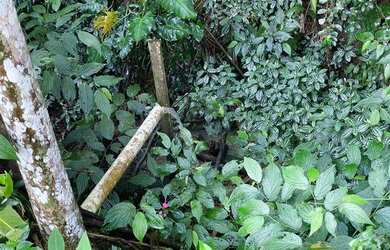 Imagem 2: Completa lago piscina casarão 577 mil reais 11 9 3329-5660