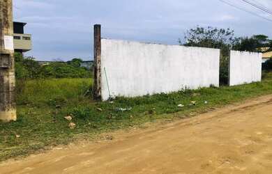 Imagem 4: RARIDADE EM ITAÚNA