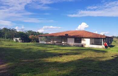 Imagem 5: Fazenda para venda em Santa Izabel na beira da pista