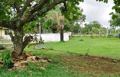 Imagem 9: VENDO LINDA CHACARA ABADIA DE GOIÁS