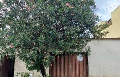 Imagem 2: Terreno à venda, 360 m² por R$ 450.000,00 - São João Batista Venda...