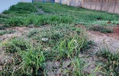 Imagem: O terreno possui 520m² de Área e está localizado em Parque