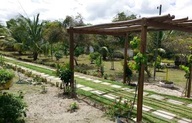 Imagem 7: Vende-se Chacara na Ilha Mende Sá -Itaporanga /Se