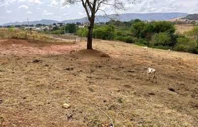 Imagem 3: Venda Terreno. 10.000m² de Área