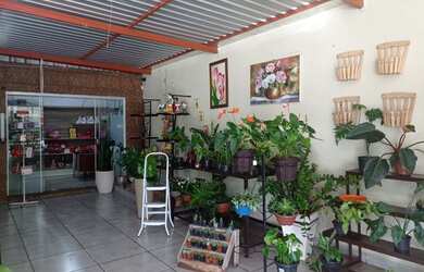 Imagem 12: loja comercial floricultura para aluguel e venda tem 4000 metros quadrados