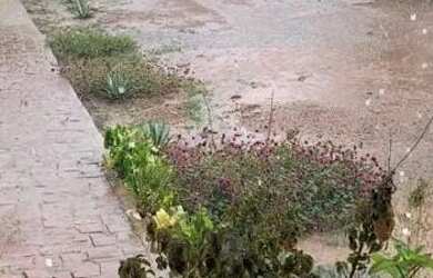 Imagem 3: Fazenda no cerrado. 2.518m² de Área