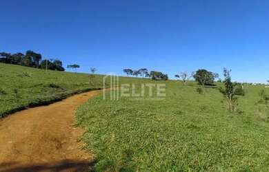 Imagem 16: 300 Hectares à Venda em Área de Plantio