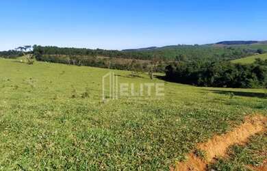 Imagem 15: 300 Hectares à Venda em Área de Plantio