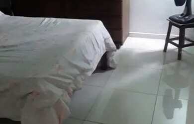 Imagem: A casa possui 2 Dormitórios, 1 Banheiro, 3 Vagas na garagem