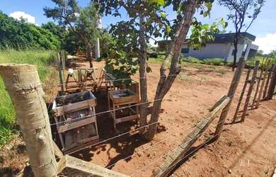 Imagem: A casa em condomínio possui 5 Dormitórios, 5 Banheiros, 5