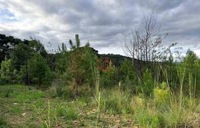 Imagem 4: Terreno à Venda em Gramado