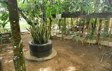 Imagem 14: Chácara em Luzimangues. Piscina, Churrasqueira, Vista para o lagoe4.000m²...