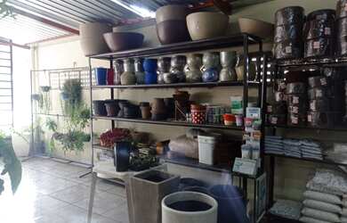 Imagem 3: loja comercial floricultura para aluguel e venda tem 4000 metros quadrados