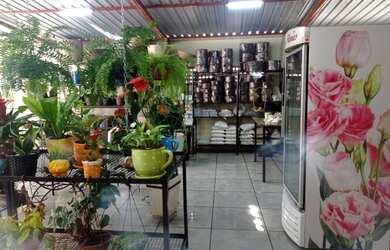 Imagem 4: loja comercial floricultura para aluguel e venda tem 4000 metros quadrados