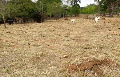 Imagem 5: Venda Terreno. 10.000m² de Área