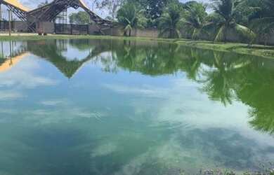 Imagem 10: Lotes na Fazenda Real Macaiba