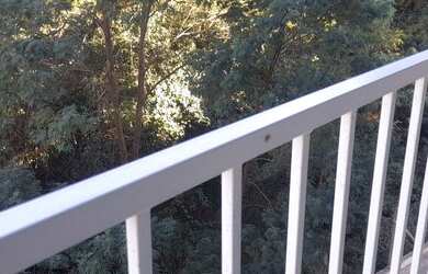 Imagem 3: AP 3 qtos 67m2 Apartamento com 3 dormitórios