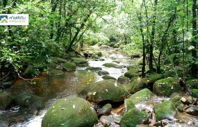Imagem: O terreno possui 39.400m² de Área e está localizado em Morretes