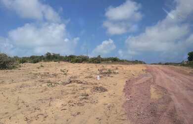 Imagem 6: Lotes e casas Terreno / lote com venda com preço sob consulta