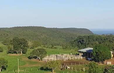 Imagem 2: . Uma Fazenda 110 alqueires 67 km de Porto Nacional