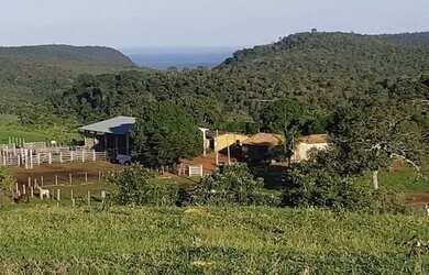 Imagem 8: . Uma Fazenda 110 alqueires 67 km de Porto Nacional