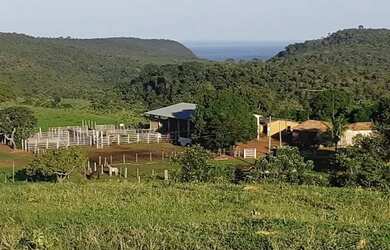Imagem 7: . Uma Fazenda 110 alqueires 67 km de Porto Nacional