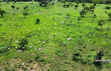 Imagem 5: FAZENDA A VENDA NA REGIAO DE CAROLINA MARANHÃO. BEIRA DE ASFALTO