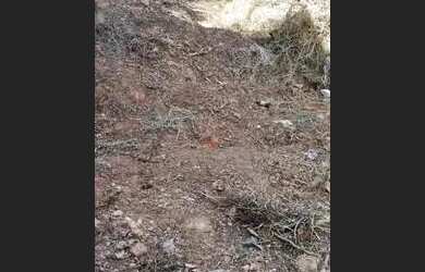 Imagem 11: Terreno à venda no bairro Bonsucesso Barreiro - Belo Horizonte/MG