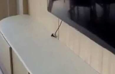 Imagem 8: Frente Mar Balneário Camboriú