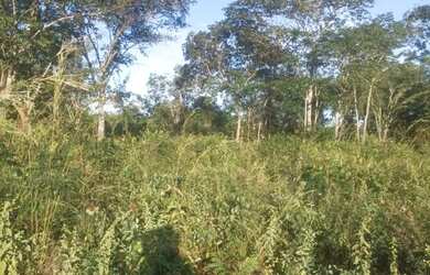 Imagem: O terreno possui 6000m² de Área e está localizado em Jardim