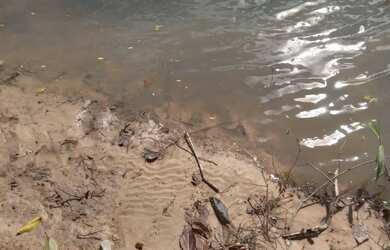 Imagem 10: Super lote pe na agua represa e acesso cachoeira 80 mil reais