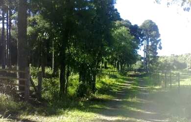 Imagem 8: Chácara Galópolis Caxias do Sul