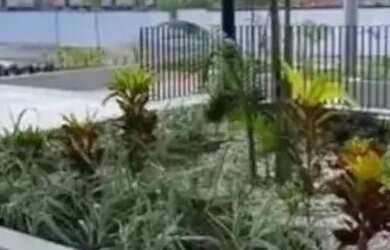 Imagem 7: Villa Marieta Casa em condomínio com 2 dormitórios