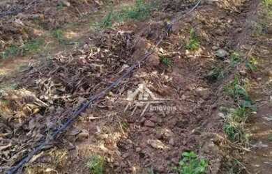 Imagem 4: Terreno à venda, 2300 m² por R$ 900.000 - Chácara Cruzeiro do Sul -...