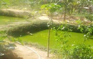 Imagem 5: Lindo Sítio em Viana. 1.200m² de Área