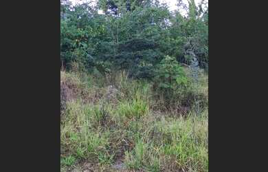 Imagem 4: Terreno Lote para Venda em ENGENHO Santa Luzia-MG - 1533